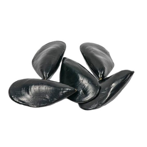COZZE 10PZ BLACK